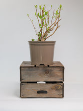 products/SotoProductShootLowQ-1905.jpg